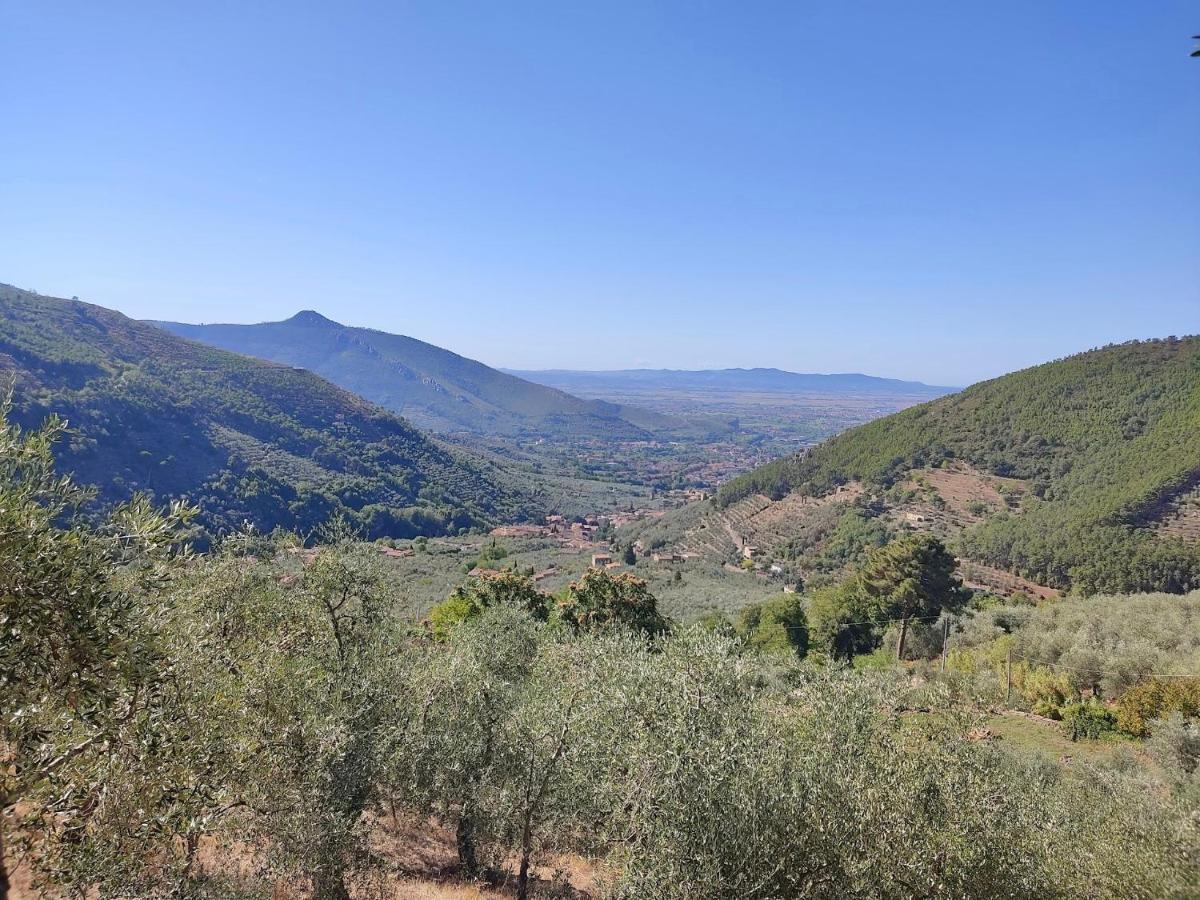 Olive House Tuscany - Zona Pisa Calci Luaran gambar