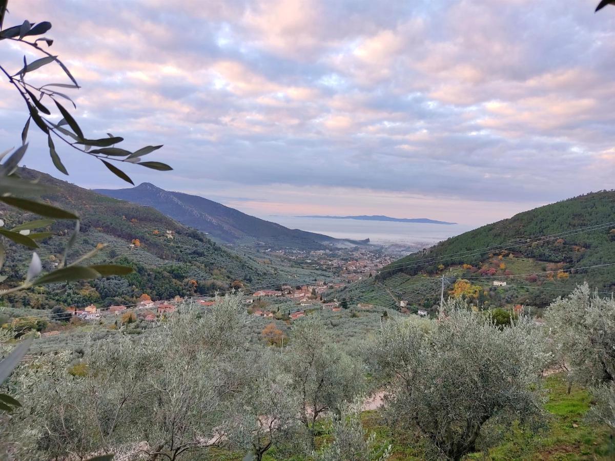 Olive House Tuscany - Zona Pisa Calci Luaran gambar