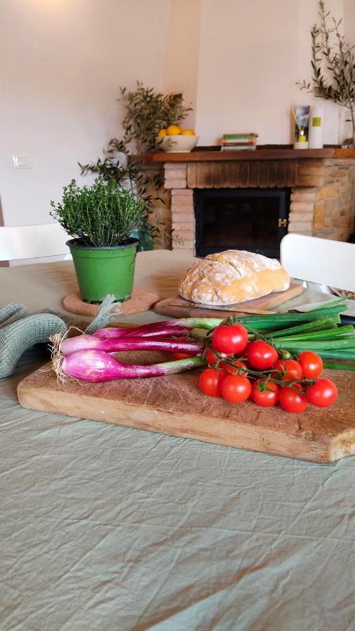 Olive House Tuscany - Zona Pisa Calci Luaran gambar