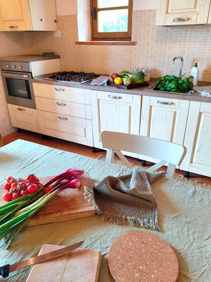 Olive House Tuscany - Zona Pisa Calci Luaran gambar
