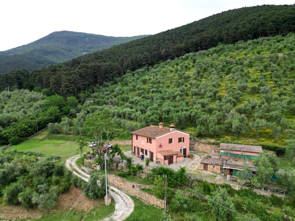 Olive House Tuscany - Zona Pisa Calci Luaran gambar