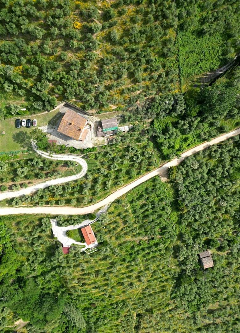 Olive House Tuscany - Zona Pisa Calci Luaran gambar
